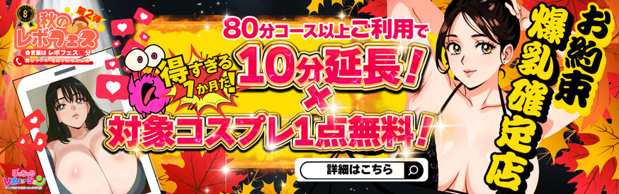 新料金システム